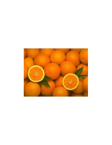 Naranjas Pequeñas de Zumo