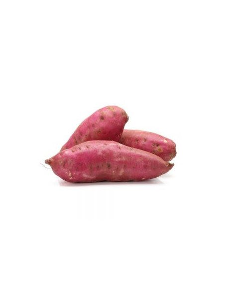 Batata