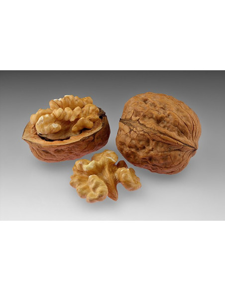 Nueces